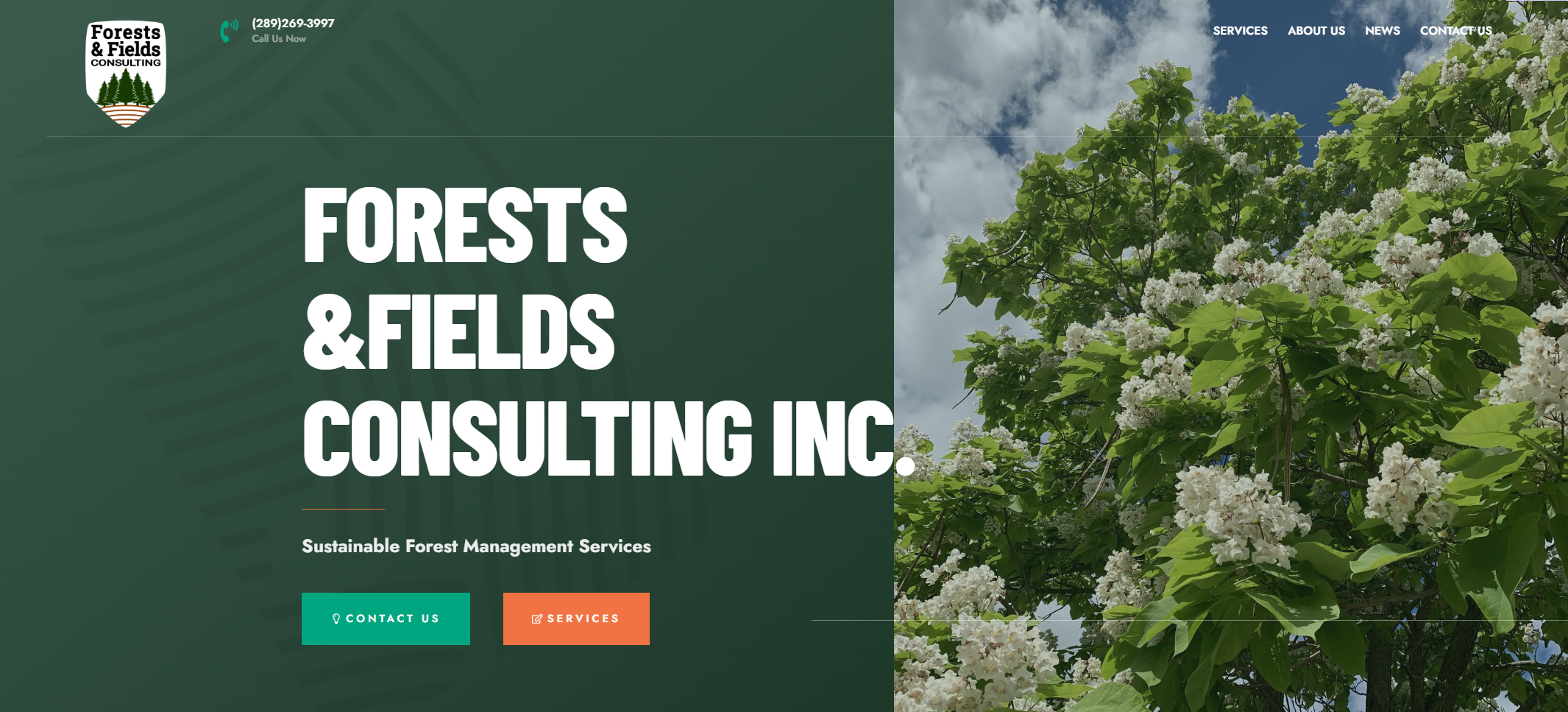 Borealis Naturopathic Health Centre - For People Who Want To Lead Hea_ - www.whyborealis.ca